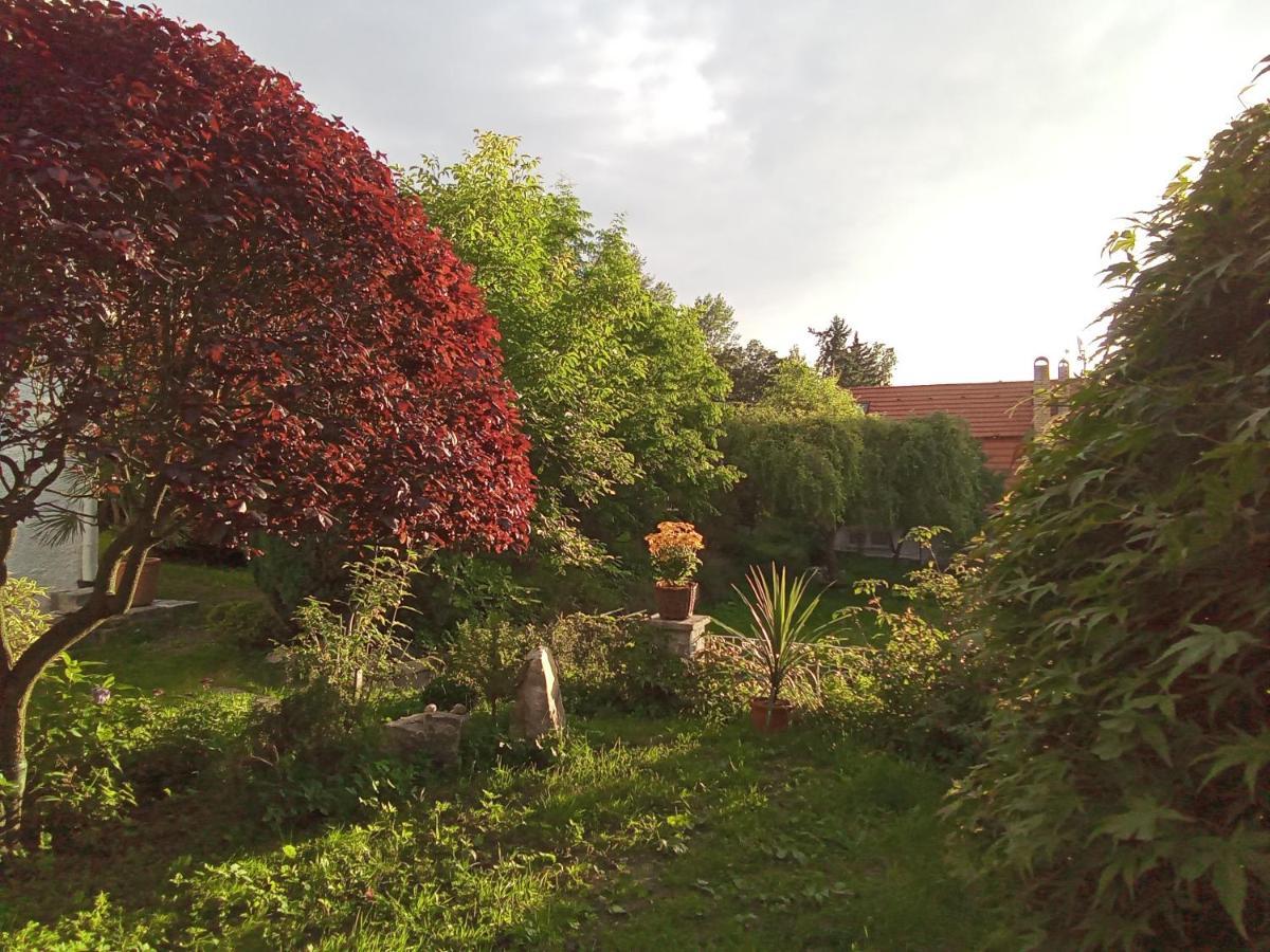 Pension Baron Schoeneck Karlsbad Exterior foto