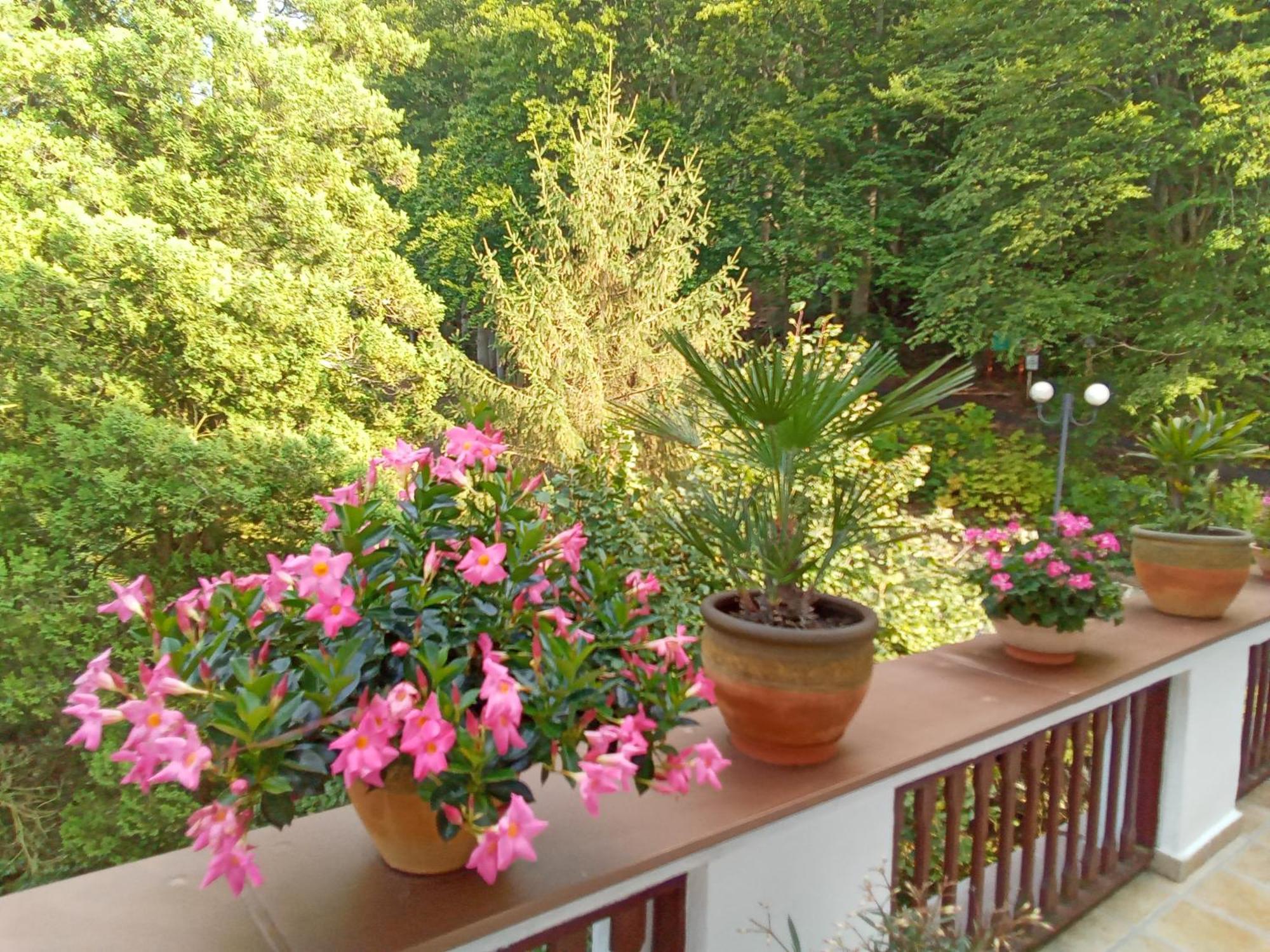 Pension Baron Schoeneck Karlsbad Exterior foto