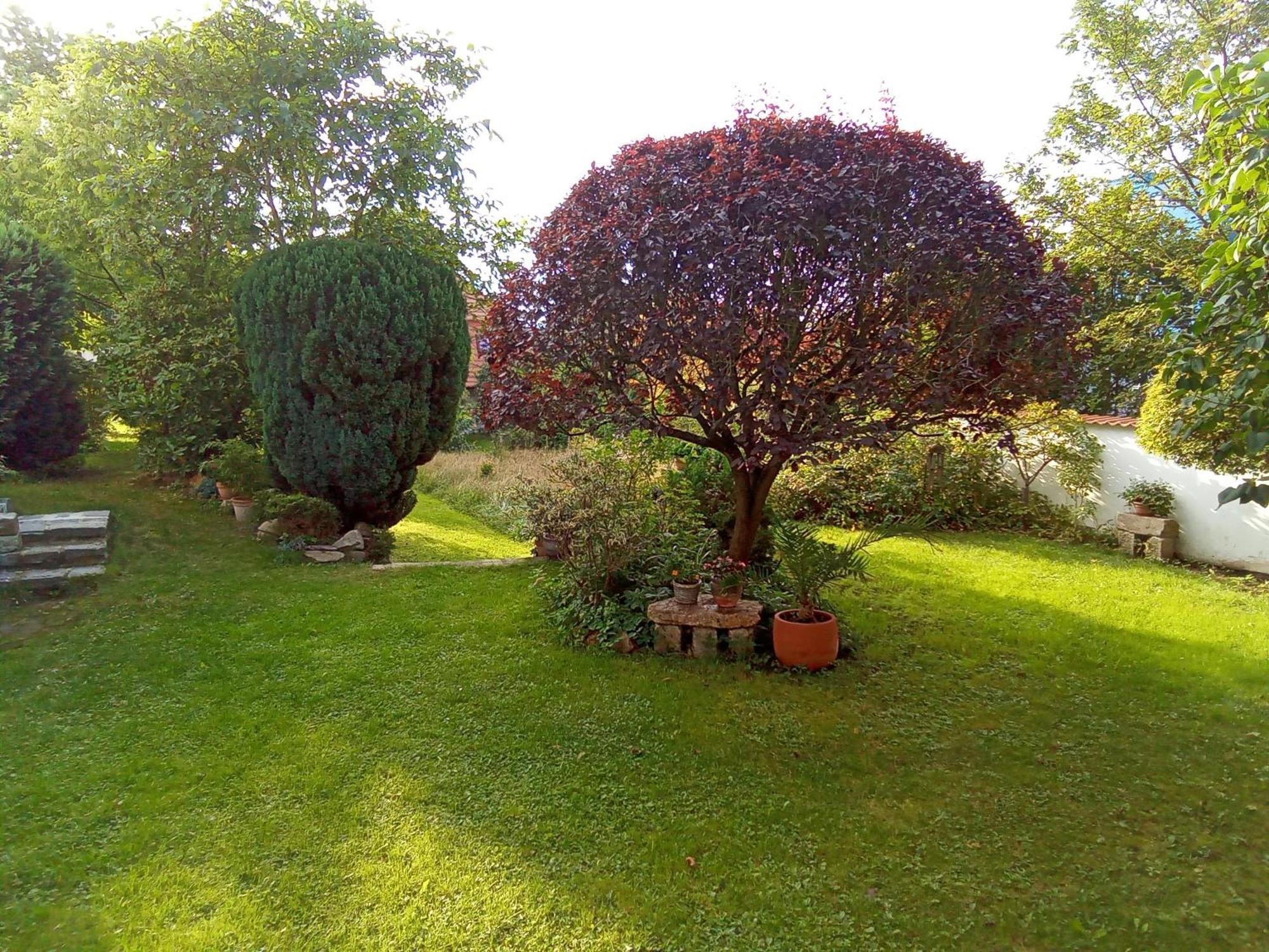 Pension Baron Schoeneck Karlsbad Exterior foto